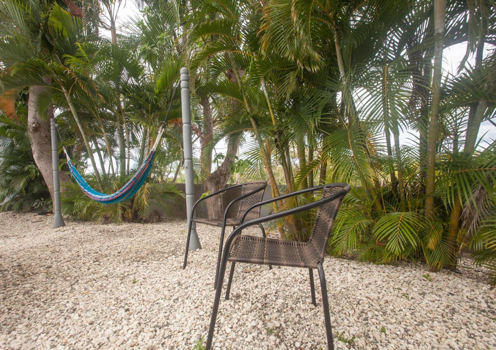 Casa Loba Suite 4 With Private Pool Ринкон Экстерьер фото