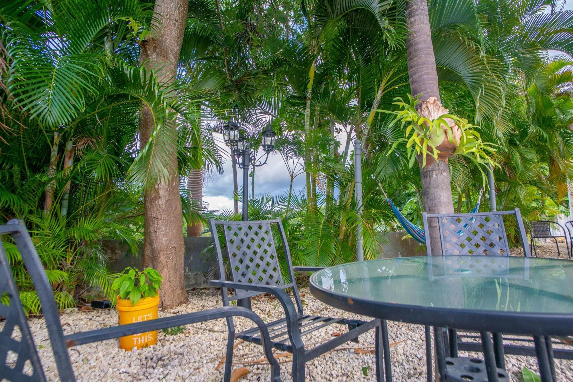 Casa Loba Suite 4 With Private Pool Ринкон Экстерьер фото